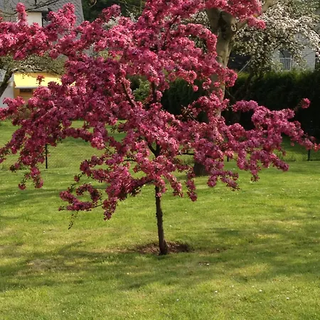 Appartement Wohnen Im Bergischen Fachwerk *