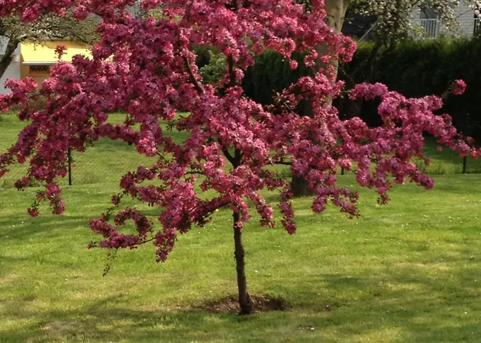 Appartement Wohnen Im Bergischen Fachwerk *